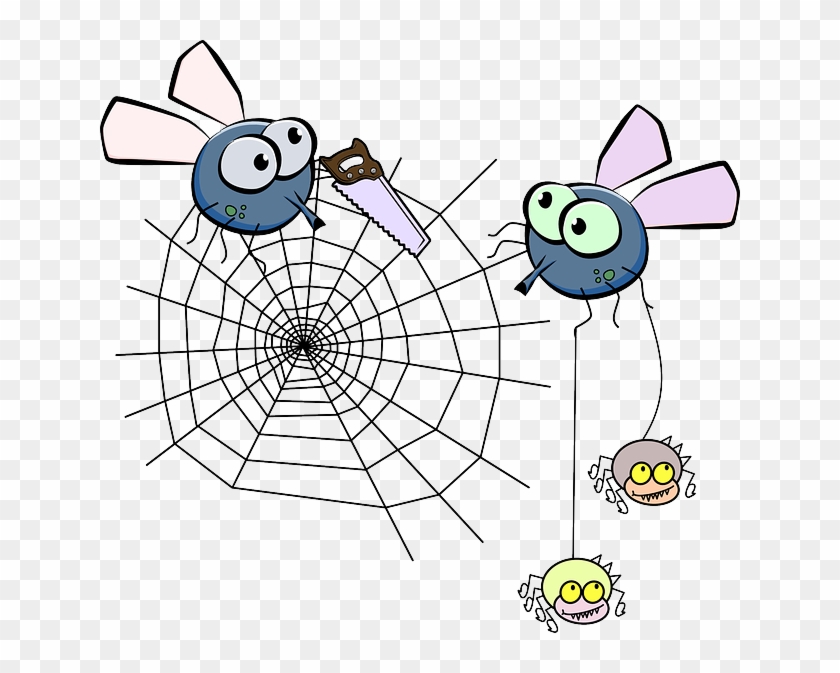 Mosquito, Spider, Insect, Spiderweb, Saw - Spider Web Clip Art #161245