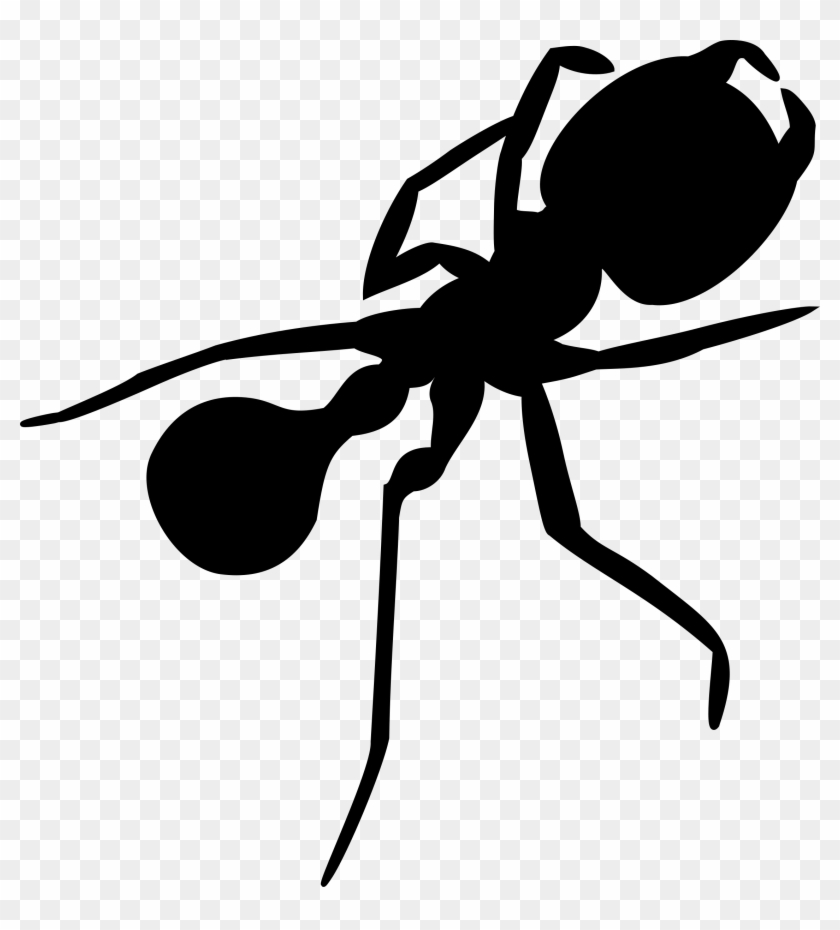 Onlinelabels Clip Art - Silhouette Ant #161254