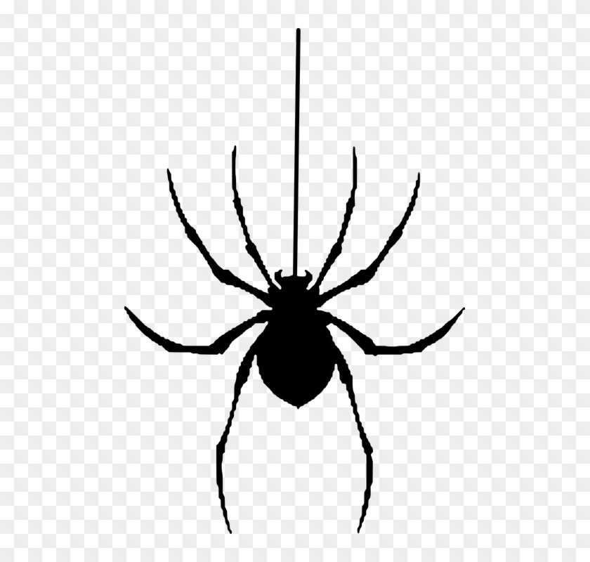Spider, Silhouette, Halloween, Insect - Spider Vector #161292