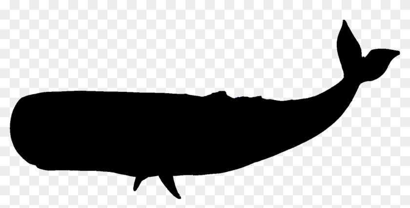 Whale Clipart Silhouette Clip Art Library - Silhouette Whale #161327