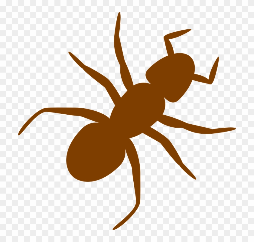 Ant Insect Silhouette Brown Antennas Legs - Ant Clip Art #161332