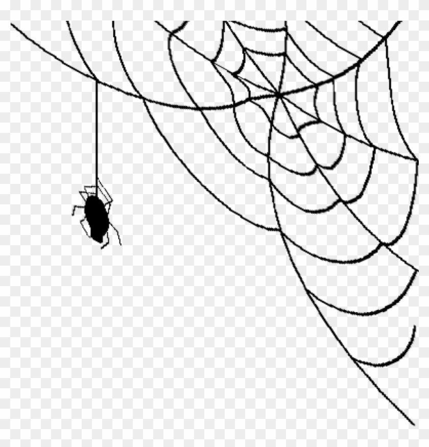 Permalink To Spider Web Png Bear Clipart - Spider On Web Png #161348