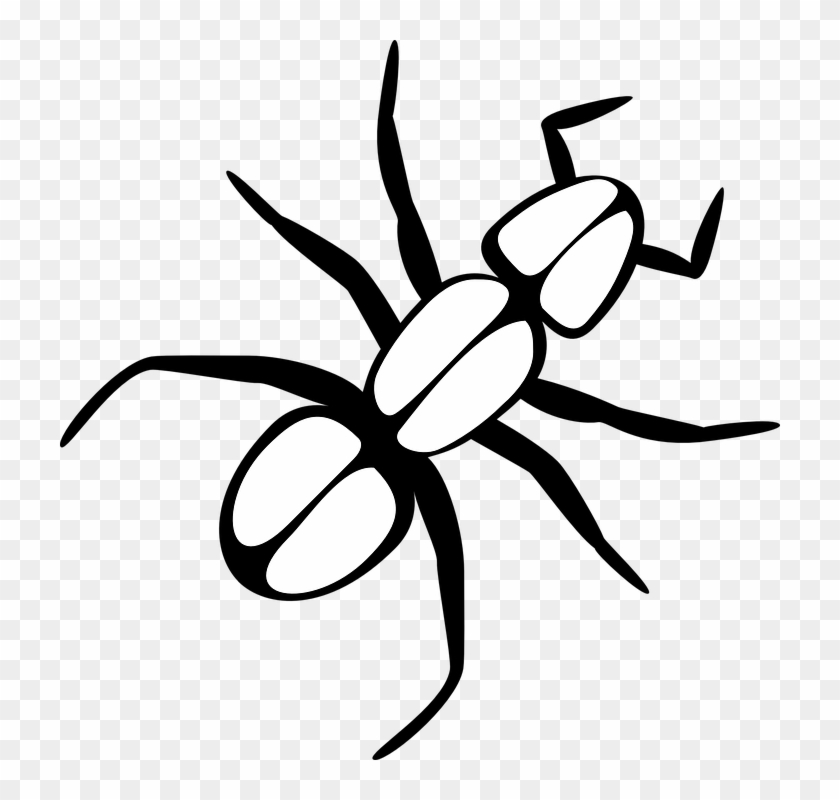 Ant Black And White Ant Free Illustrations On Pixabay - Outline Of A Bug #161364