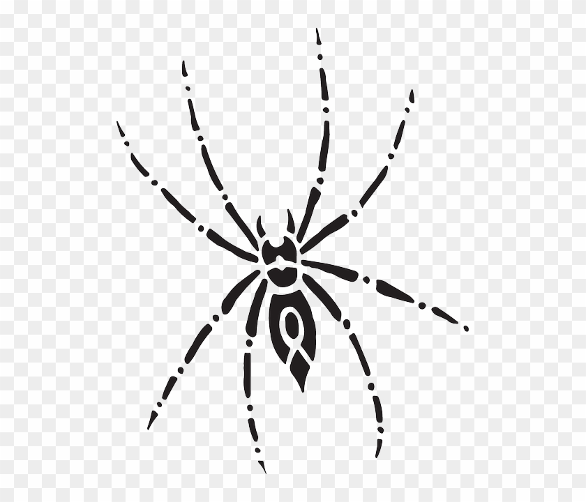 Arachnid Spider, Body, Eight, Art, Legs, Arachnid - Spider Top View Drawing #161442