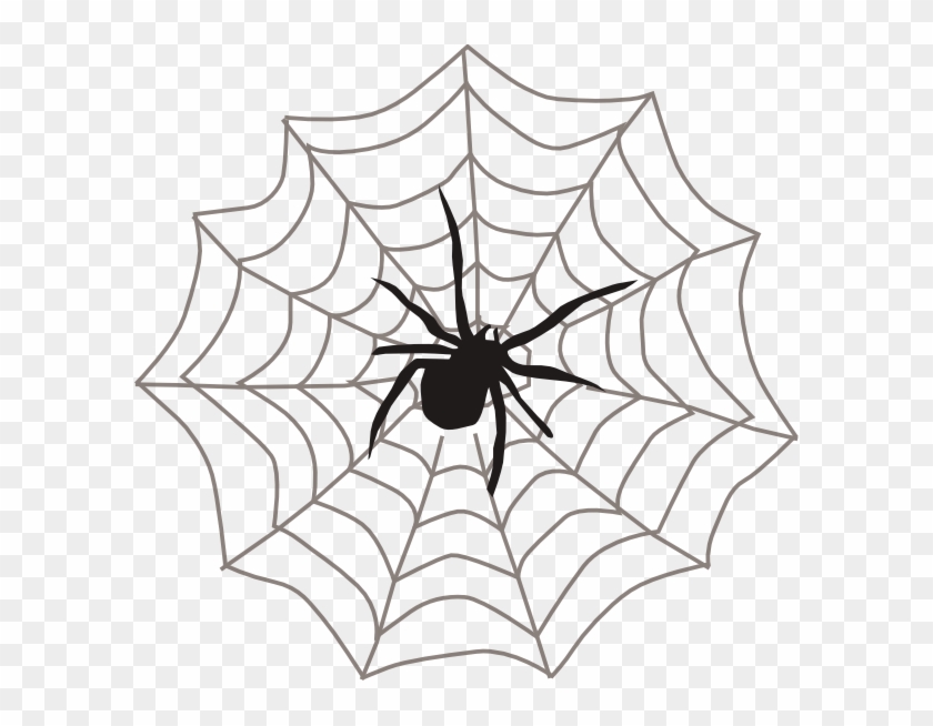 Spider In Web Clipart #161722