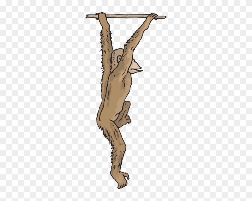 Hanging Chimp Clip Art - Chimp Png Hanging #161749
