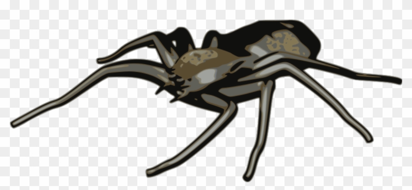 Spider Vector Clip Art - Arachnid Clipart #161819