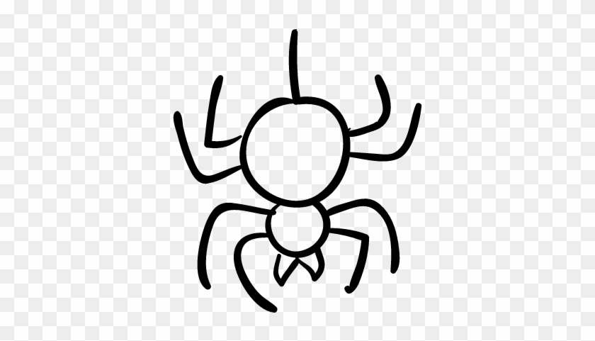 Spider Outline Vector - Outline Of A Spider #161846