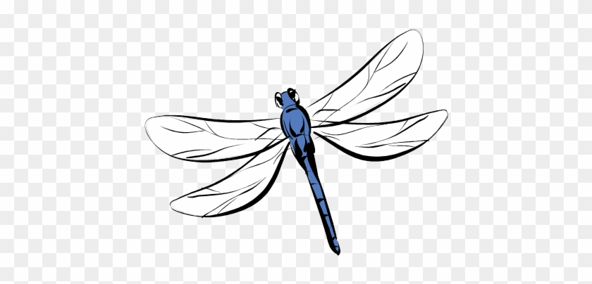 The Dragonfly Effect - Carolina Hardware And Decor 1162 Dragonfly Ceramic #161936