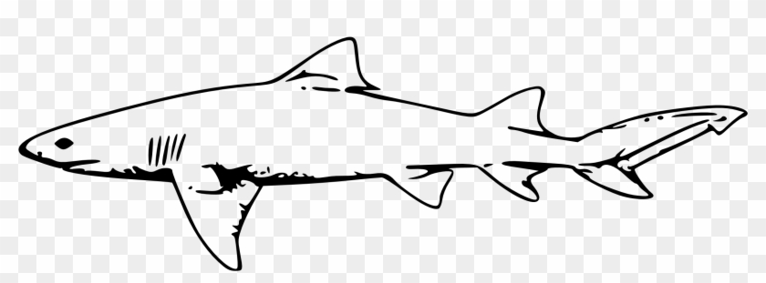 Shark Black And White Shark Clip Art Black And White - Shark Black And White #161940