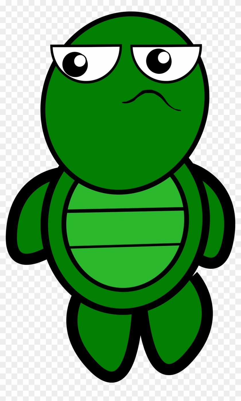 Big Image - Transparent Background Turtle Clipart #162005