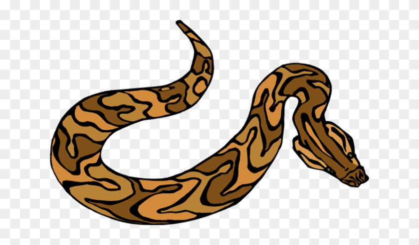 Anaconda Animal Snakes Png Transparent Images Clipart - Brown Snake Clipart Transparent #162197