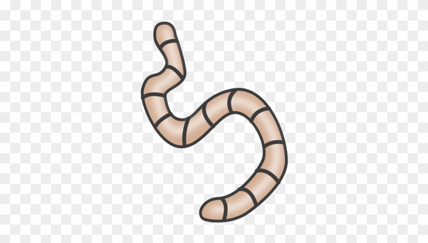 Worm Clipart - Worm Clipart #162316