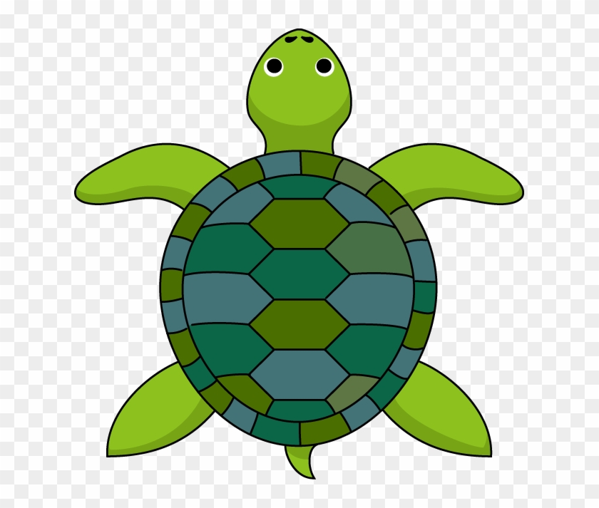 Clipart Info - Clip Art Of Tortoise #162423