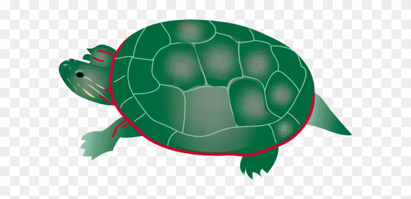 Painted Turtle Clip Art - Pond Turtle Clipart #162439