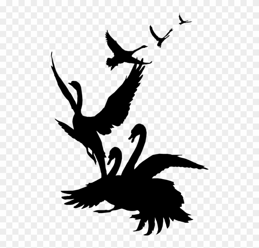 Swan Silhouette Clip Art Google Search Research Pinterest - Swans Flying Clip Art #162477