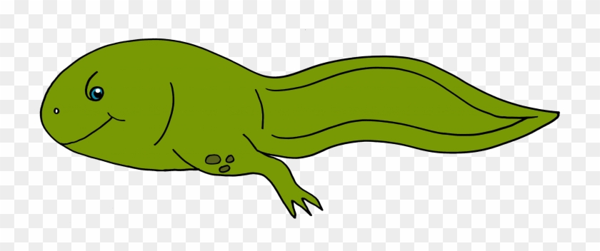 Tadpole Clipart Froggy - Tadpole With Legs Drawing #162488