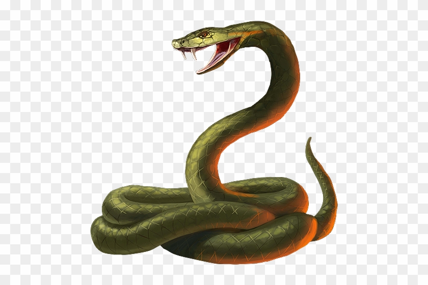 Snake - Snake Png #162496