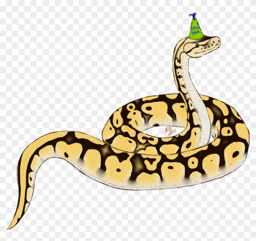 “ Wilysnakepascal Here Is Pascal I Decided To Give - Birthday Snakes Clipart #162499