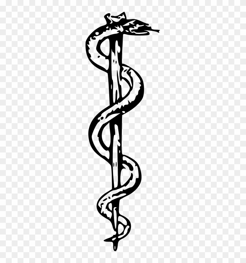 What A Difference A Snake Makes - Rod Of Asclepius Tattoo #162511