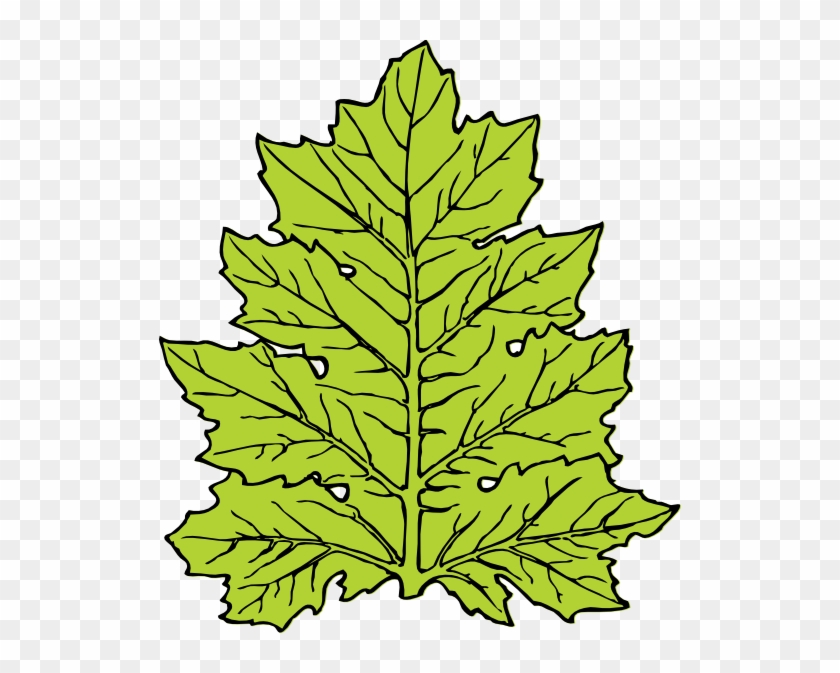 Free Vector Acanthus Leaf Clip Art - Leaf Clip Art #162522