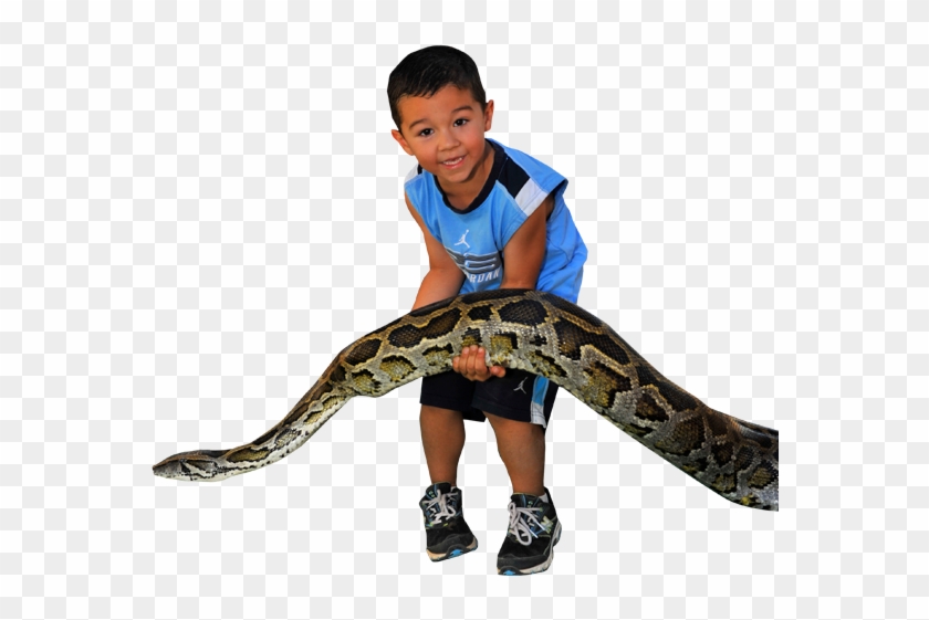 Snake Clipart - Boy Holding A Snake #162796