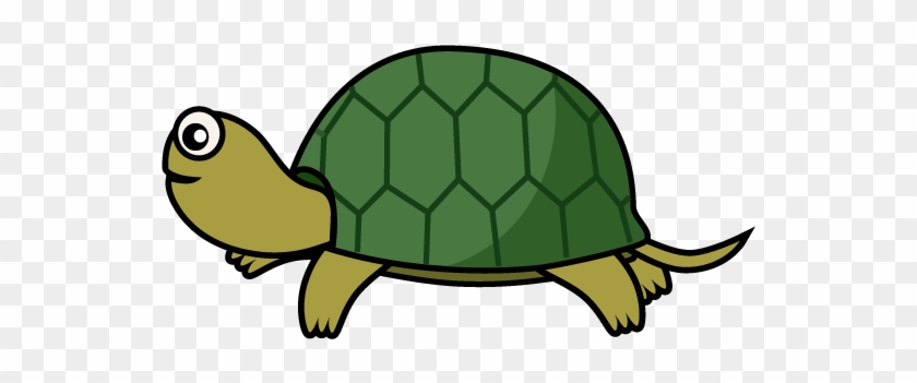 For Download Free Image - Tortoise Illustration Png #163051