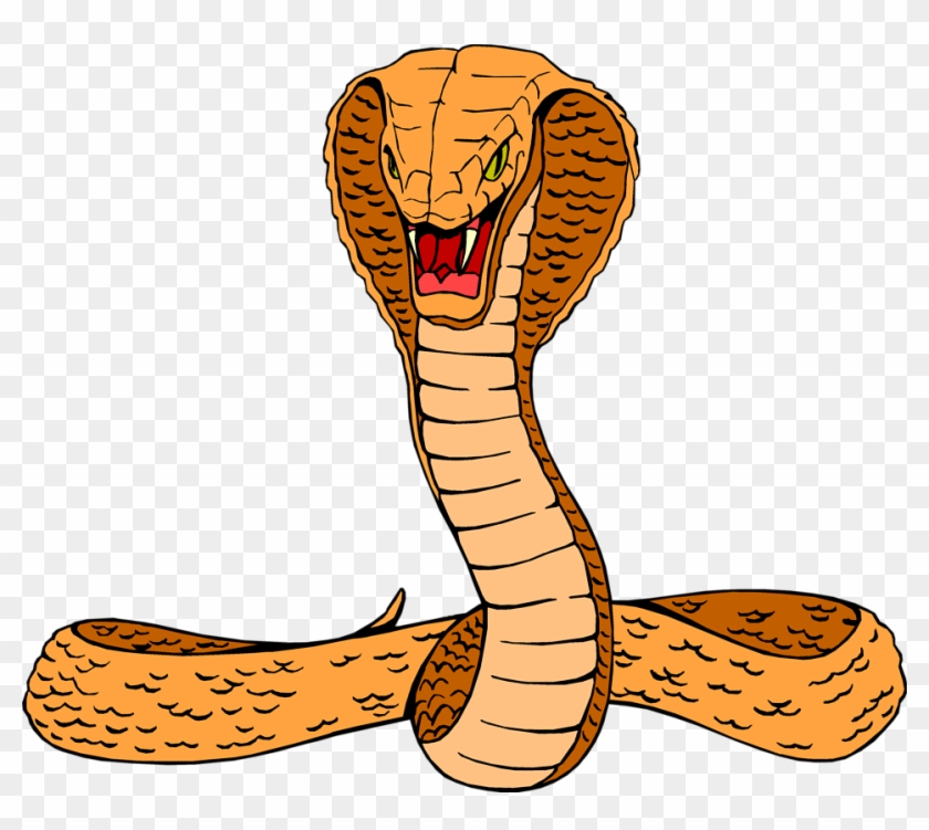Cobra Snake Drawings - Cobra Clipart #163065