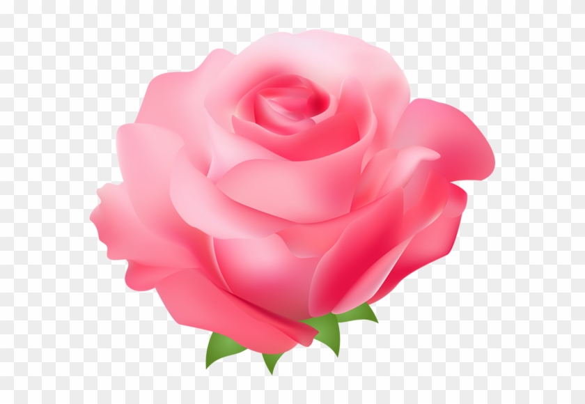 Pink Rose Png Transparent Clip Art Image - Pink Rose Clipart Png #163082