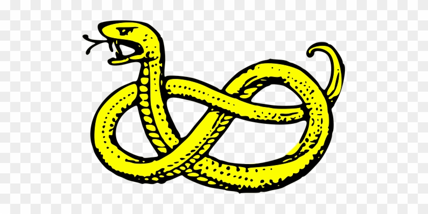 Snake Serpent Yellow Reptile Venomous Pois - Coat Of Arms Symbols Snake #163141