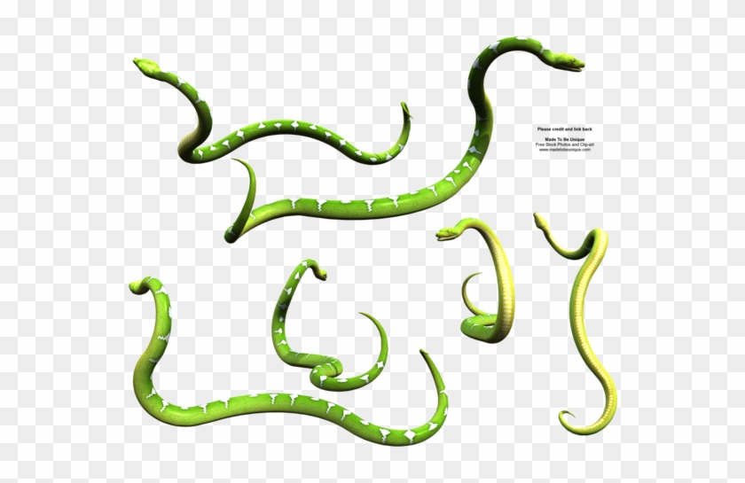 Madetobeunique 36 3 Slithering Green Snake Python By - Madetobeunique 36 3 Slithering Green Snake Python By #163259