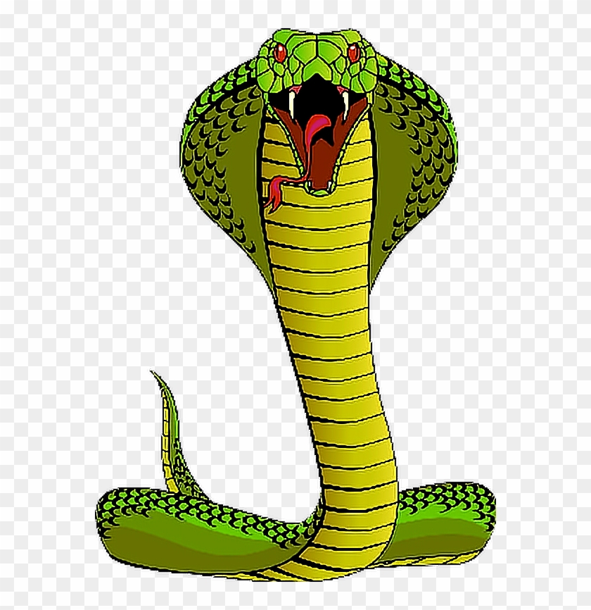 Report Abuse - Snake Clipart #163325