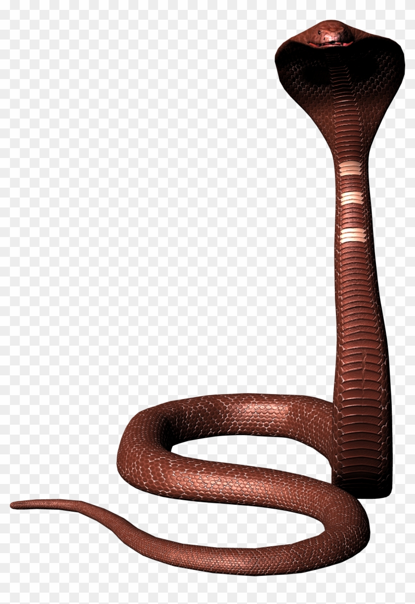 Snake Png #163504