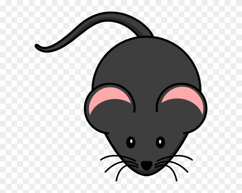 Mouse Clipart Transparent Background - Mouse Clipart No Background #163611