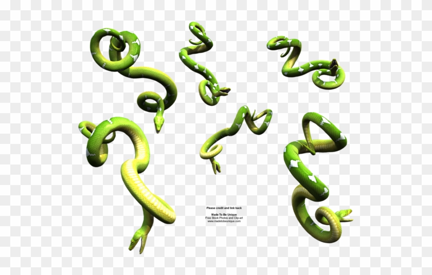 Bright Green Hanging Snakes By Madetobeunique - Python Snake #163617