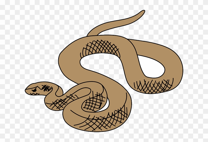 Slither Snake, Brown, Art, Reptile, Slithering, Curled, - Brown Tree Snake Clip Art #163636