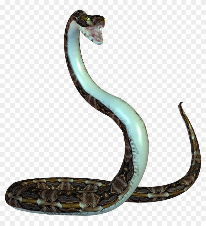 Picture Download Snake Image - Snake Png Transparent Background #163649