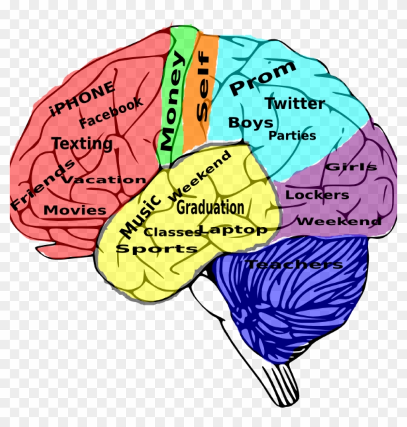 Brain Clipart High School On The Brain Clip Art At - School In The Brain #163657