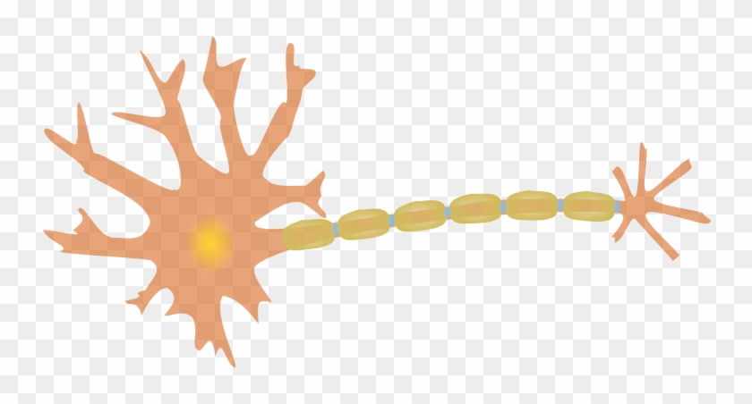 Neuron Clipart #163665