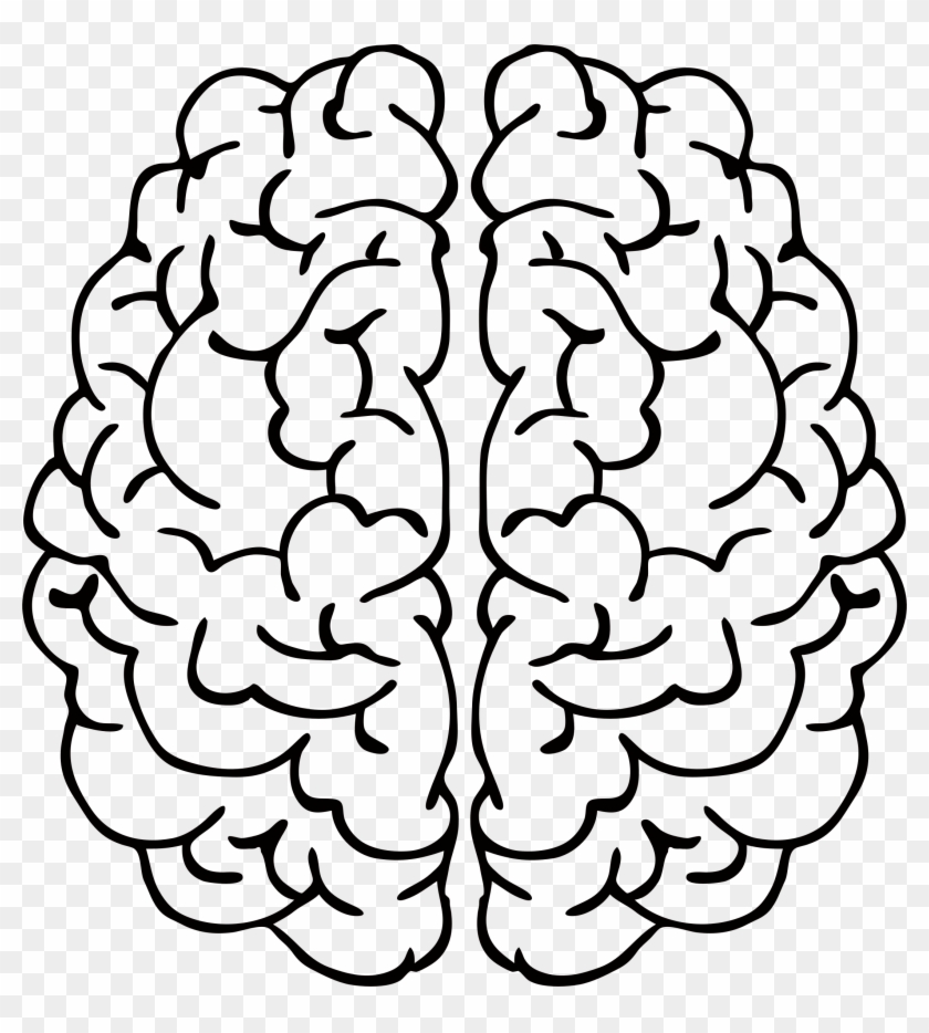 Big Image - Brain Line Art #163671