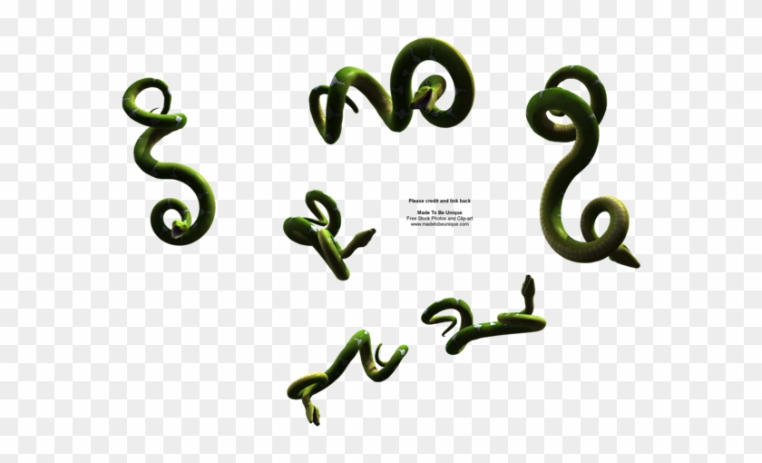 Madetobeunique 216 69 Hanging Python Snake Free Imag - Hanging Snake Png #163676