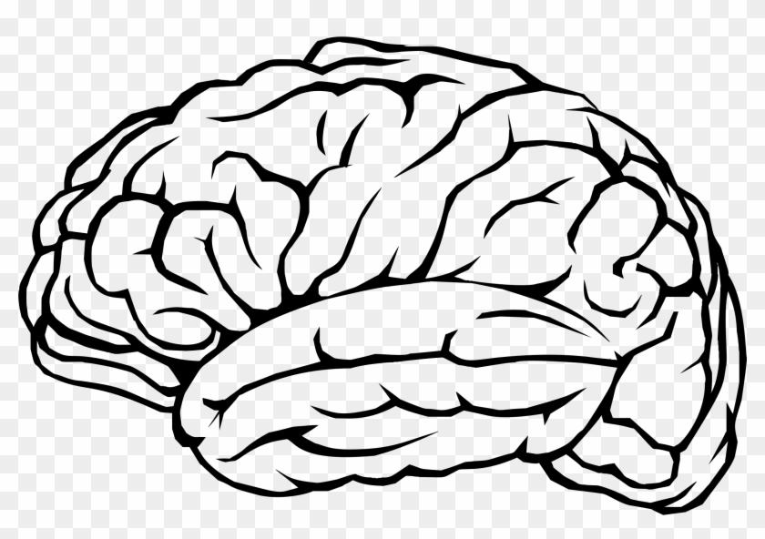 Brain Profile Line Art - Brain Png #163739