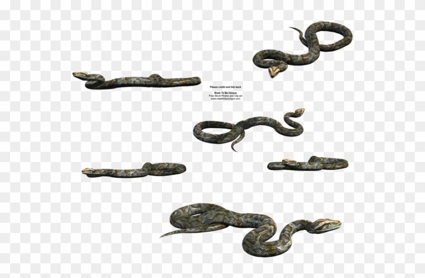 Python Snake Free Transparent By Madetobeunique - Deviantart Snake Png #163760