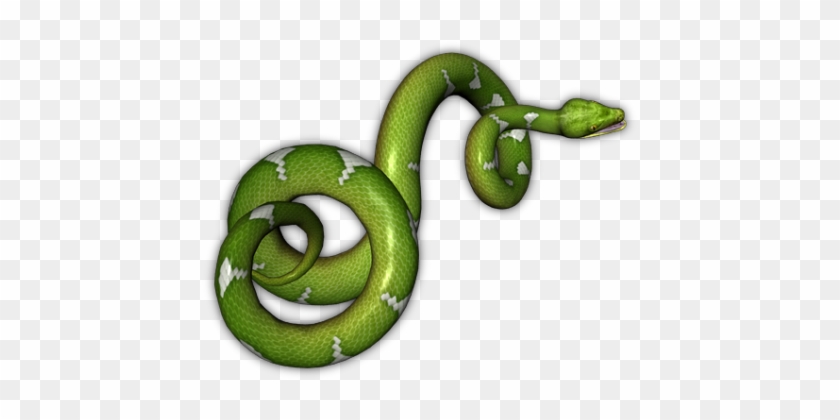 Snakes Png Image - Green Snake No Background #163767