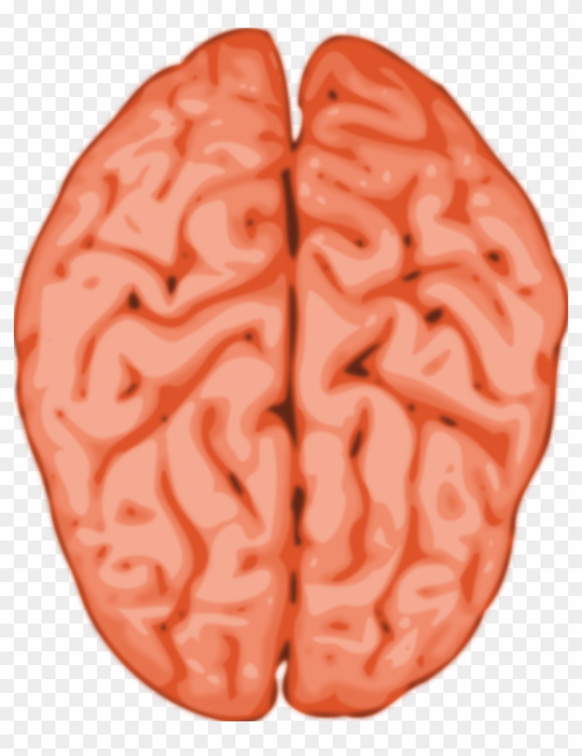 Animated Brain Images - Brain Clipart #163776