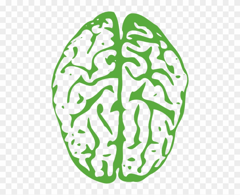 Brain Clip Art At Clker - Brain Clipart Without Background #163786