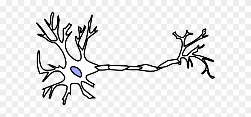 Neuron 20clipart - Brain Neuron Clip Art #163831