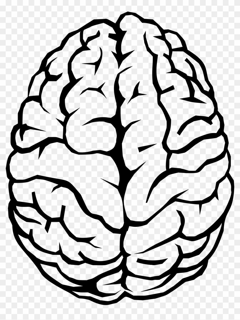 Brain Line Art Illustration - Brain Line Art #163873