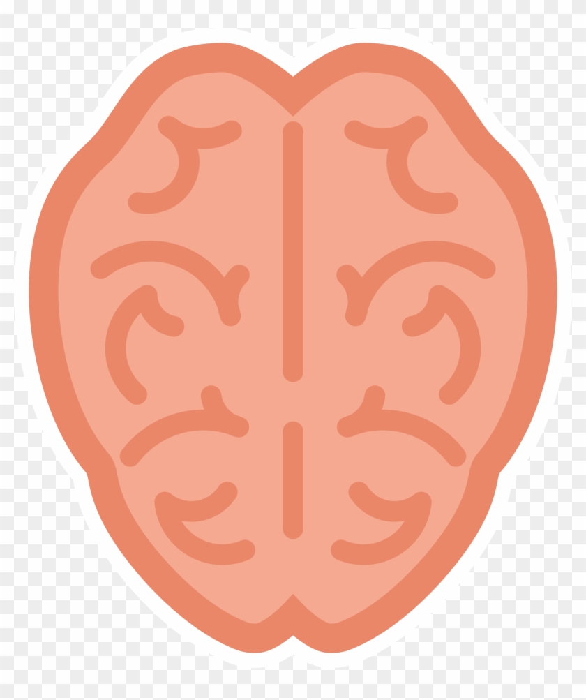 Brain Clipart - Anatomy #163970