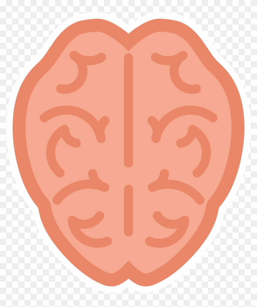 Brain Clipart - Anatomy #163970